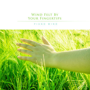 손끝으로 느껴지는 바람 (Wind Felt By Your Fingertips)