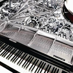 Musica (音乐)