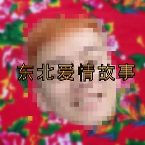 东北爱情故事（让我们飞起来）Mp3下载-刘辉