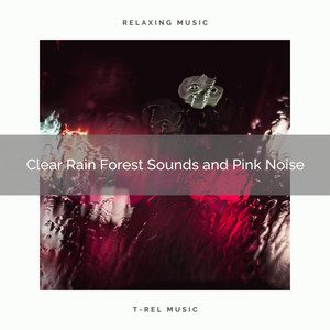 2021 new: clear rain forest sounds and pink noise