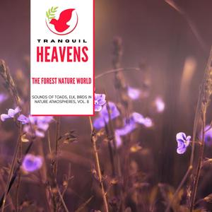 The Forest Nature World - Sounds of Toads, Elk, Birds in Nature Atmospheres, Vol. 8