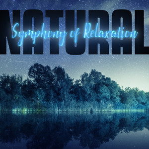 natural symphony of relaxation – ambient nature sounds of new