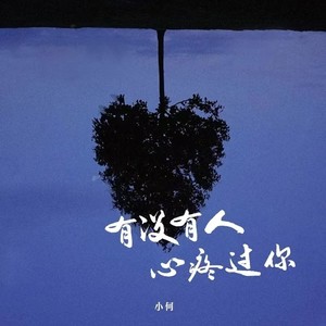 有没有人心疼过你Mp3下载-小何