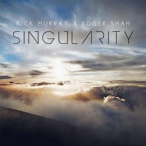 Singularity (奇特)
