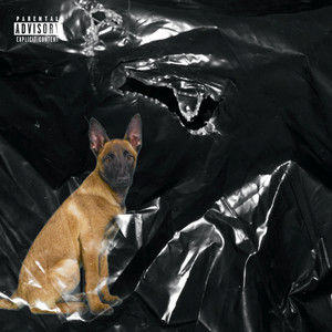 BABY MALINOIS (Explicit)