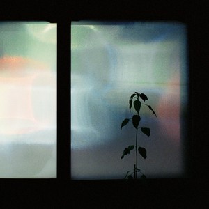 Bedtime Delta Tracks