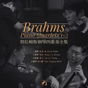勃拉姆斯钢琴四重奏全集1-3(Brahms: Piano Quartets 1-3 )