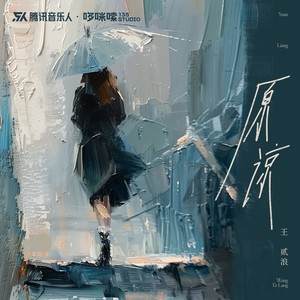 原谅（原谅把你带走的雨天）Mp3下载-王贰浪