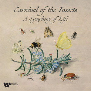 Zzzz. Carnival of the Insects - A Symphony for Life