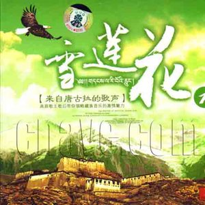 青藏高原(熱度:214)由亦雨亦晴翻唱，原唱歌手尼瑪澤仁·亞東
