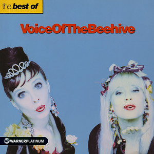 The Best of Voice Of The Beehive (Explicit)