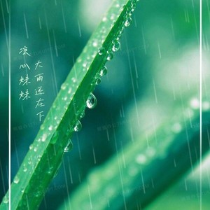 大雨还在下