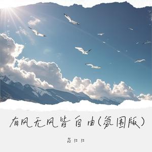 有风无风皆自由 （氛围版）Mp3下载-吕口口