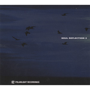 Soul Reflection 2