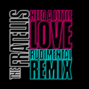 needalittleloverudimentalremix