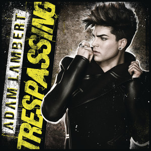 Trespassing(热度:100)由森泽翻唱，原唱歌手Adam Lambert