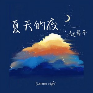 夏天的夜Mp3下载-赵希予