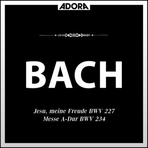 Bach: Motette "Jesu, meine Freude", BWV 227 - Messe, BWV 234
