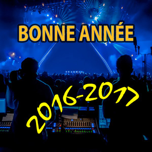 2016 - 2017 Bonne année