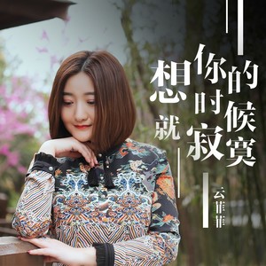 想你的时候就寂寞 - 云菲菲 - qq音乐-千万正版音乐曲