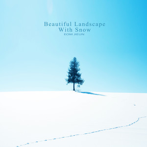 눈 내린 예쁜 풍경 (Beautiful Landscape With Snow)