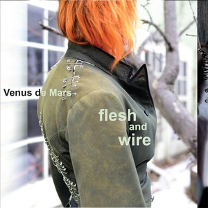 Flesh and Wire (Explicit)