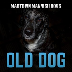 old dog