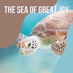 1 the sea of great joy vol. 3