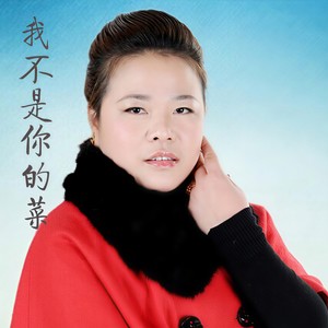 演唱歌手钻石雪花的头像