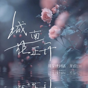 城南花正开Mp3下载-耳朵便利店