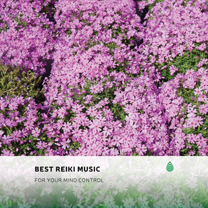 Best Reiki Music for Your Mind Control