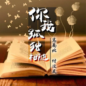 我与孤独永相随 高南北/付汶昊 qq音乐-千万正版音乐海量无损曲库