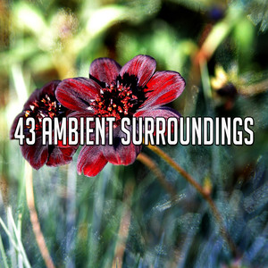43 ambient surroundings