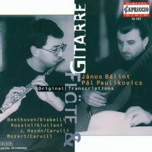 Flute and Guitar Arrangements - MOZART, W.A. / HAYDN, F.J. / DIABELLI, A. / ROSSINI, G. / WEBER, G. (Balint, Paulikovics)