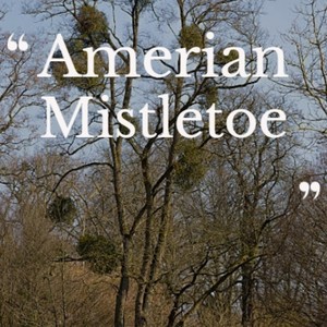 amerian mistletoe (explicit)