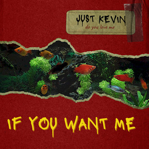 IF YOU WANT ME