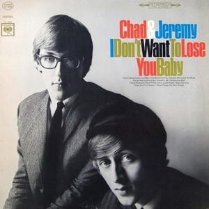 I Don't Want to Lose You Baby