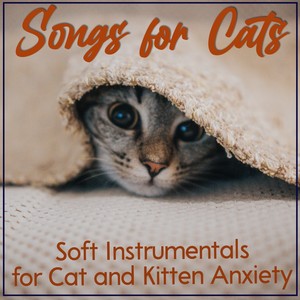  soft instrumentals for cat and kitten&