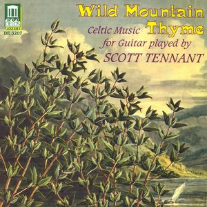 Guitar Recital: Tennant, Scott - KROUSE, I. / YORK, A. / BOGDANOVIC, D. / DUARTE, J. / HEAD, B. / RUIZ-PIPO, A. / MOMPOU, F. / DOWLAND, J.