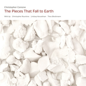 The Pieces That Fall to Earth (坠落地球的碎片)