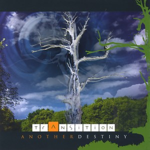 Another Destiny