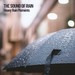 thesoundofrainheavyrainmoments