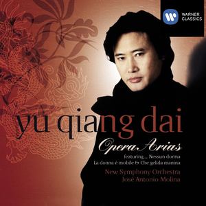 Tenor Opera Arias (男高音歌剧咏叹调)
