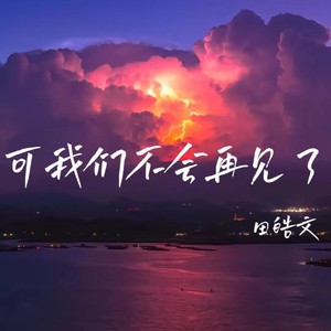 可我们不会再见了 （男声版）Mp3下载-田浩文