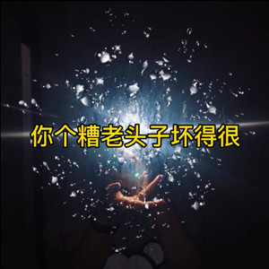 你个糟老头坏的很 (remix)