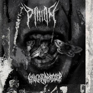 Knuckle Dragger Split