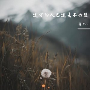 远方的人已远去,不必追