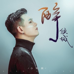 醉倾城 （DJ名龙版）Mp3下载-小阿枫