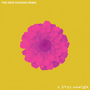 I Still Wonder (The New Division Remix)