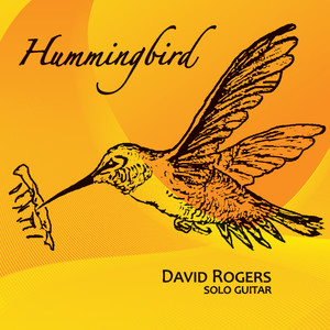 Hummingbird (蜂鸟)